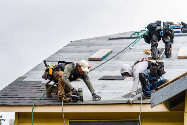Professional Roofing technician working in Stockton, MD